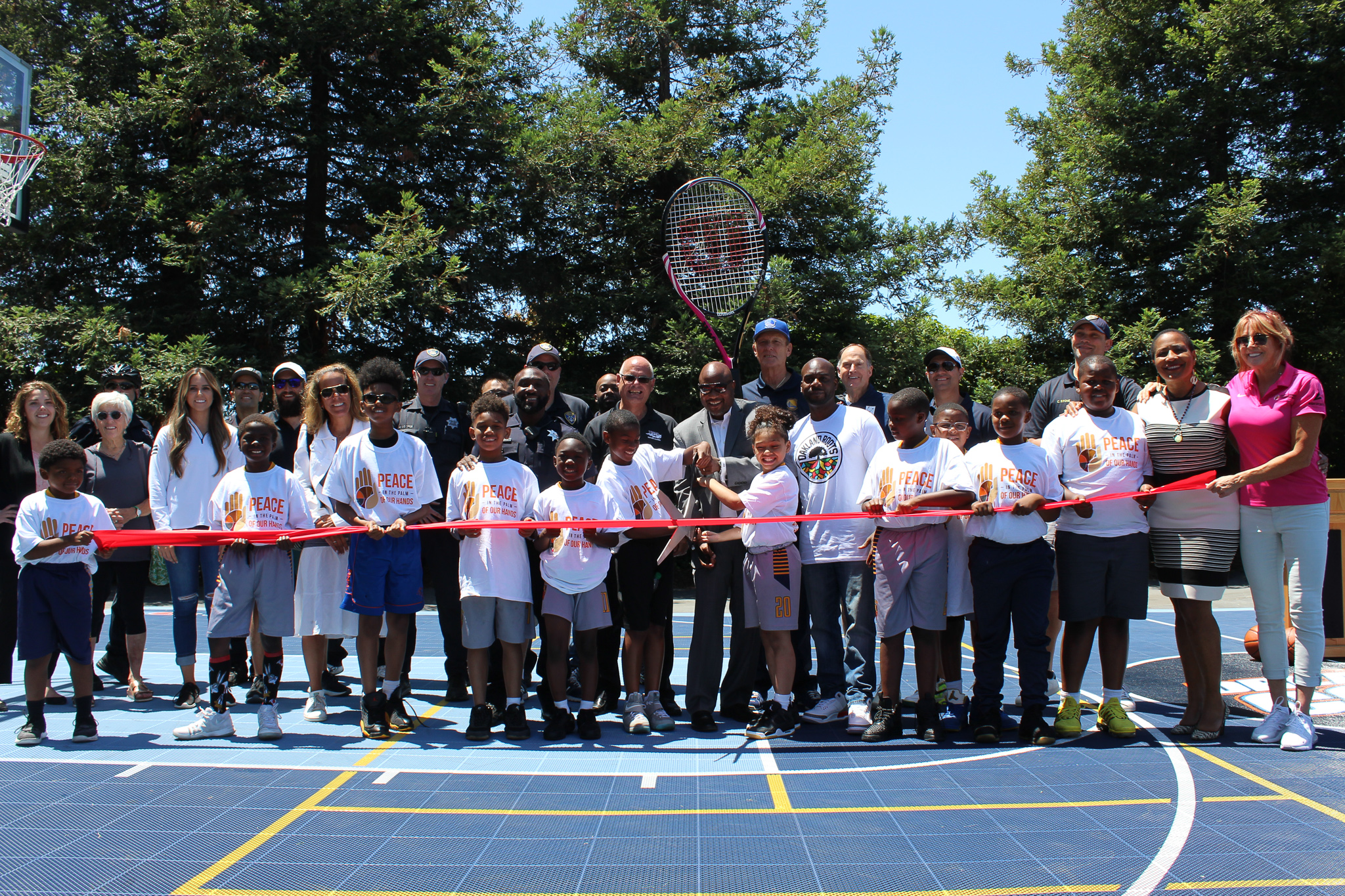 Ohio and Harding Park Dream Basketball Court - from Sport Court